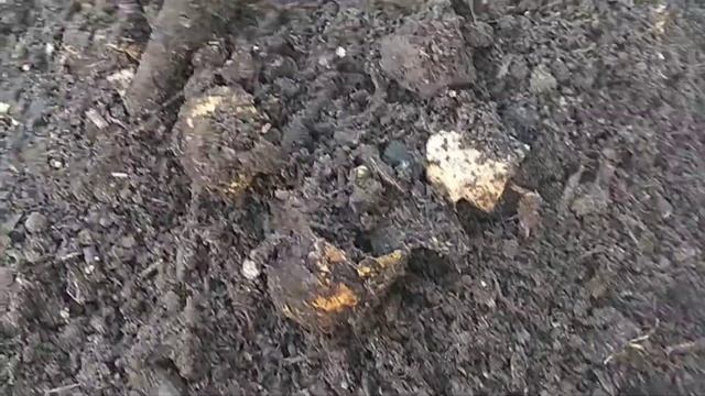 Czy warto kompostować w plastikowym kompostowniku смотреть онлайн