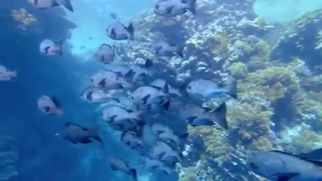 Ольга Носикова. Круг Рейки в Суперлуние смотреть онлайн