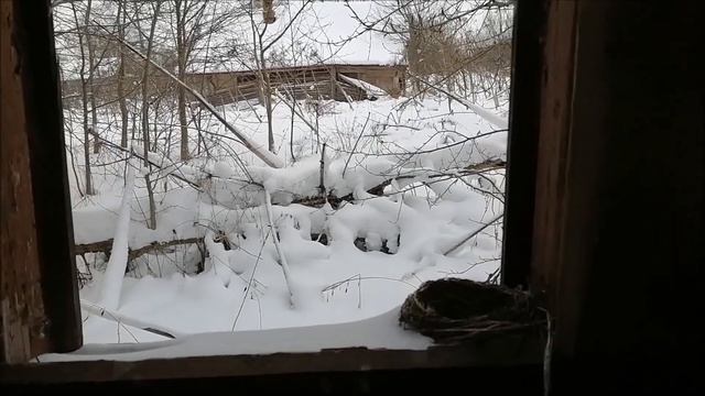Заброшки. д. Бачелка, Нерехтский район, Костромская обл. Часть 2.