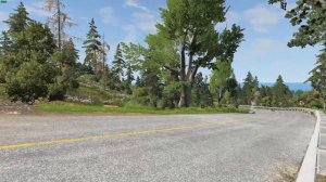 Мотоциклы против упавшего дерева