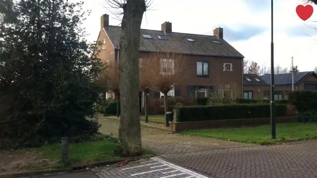 политическое убежище в Нидерландах. обязательная процедура чтобы не потерять статус политубежище! смотреть онлайн