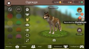 Открытие сундуков кто победит? Волк vs Лиса. Челендж батл сундуков Wolf vs Fox кто победит???