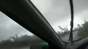 Ураган ломает деревья как спички, 3.08.2021 д. Струбки, Полоцкйи р-н, Беларусь