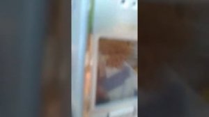 Короче звоним номера 555 777 и т.д