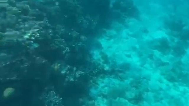 Египет Хургада 2021-2022,прогулка на яхте в красном море. смотреть онлайн