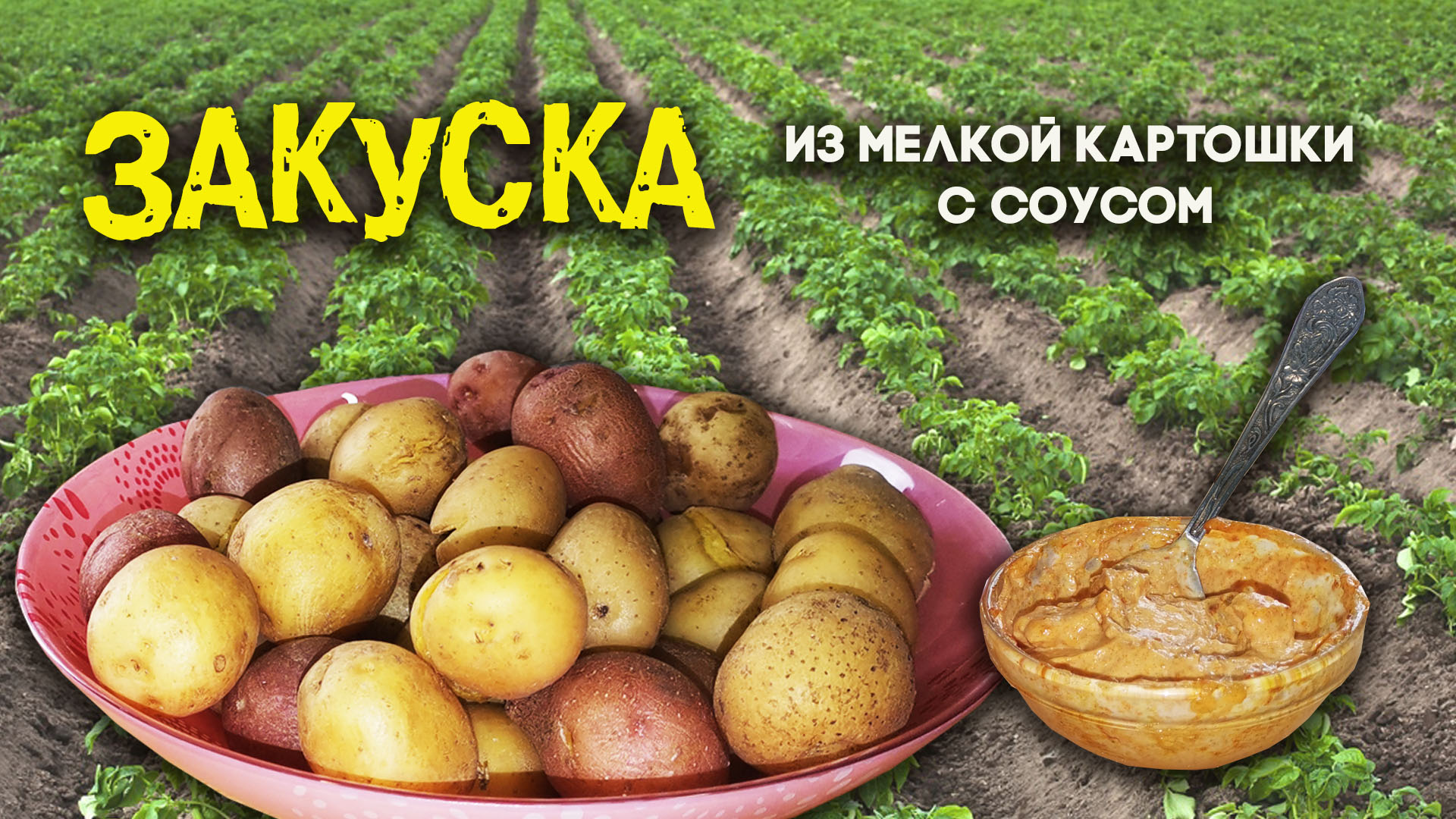 Идеальная закуска из мелкой картошки с ароматным соусом.