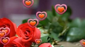 ИРИНА САМАРИНА// Всё пройдёт! Заживёт! Перемелется!//ЛИРИКА