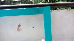 Доска для рисования мелом своими руками. Мольберт