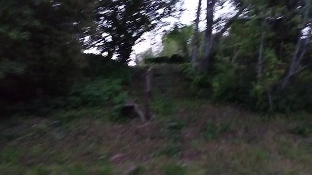 Река Великая. Деревня Ушаки Палкинского района Псковской области. 1 июня 2023 года смотреть онлайн