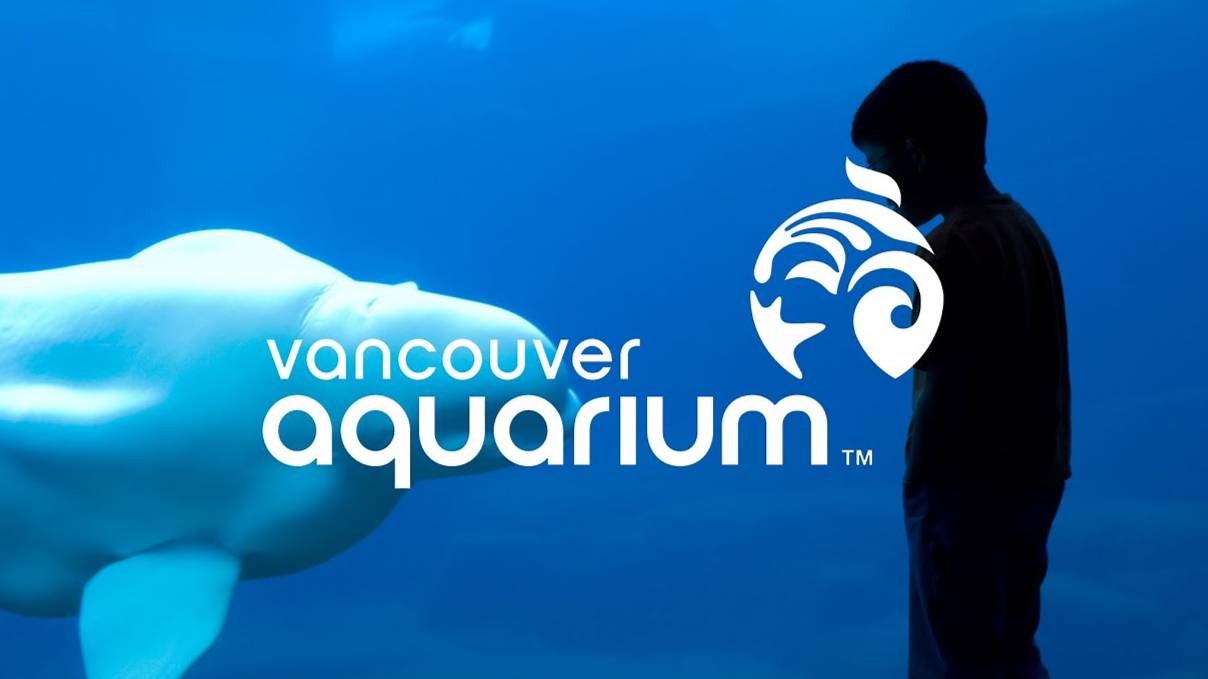 [4K UHD] Best Aquarium Relaxation with Calming Music - Vancouver Aquarium - 3HOURS