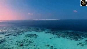 Dr. Alban - Its My Life Remix 2021