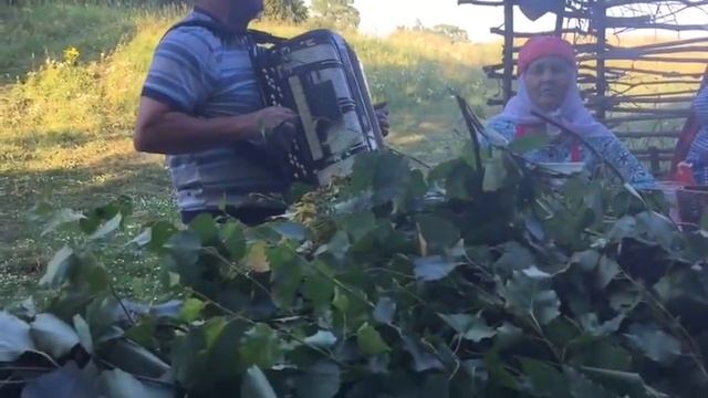 Каен себеркесе ( миннек) җыйдым! Как татары собирают березовые веники. Это стоит увидеть ! смотреть онлайн