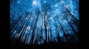 Тройные Врата Инициации- Архангел Михаил через Силию Фенн