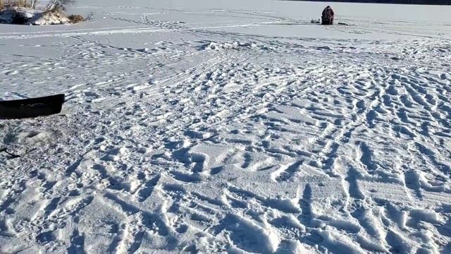 Хохлы рыбачат в Екатеринбурге смотреть онлайн