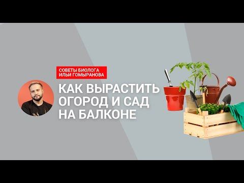 Как вырастить сад и огород на балаконе