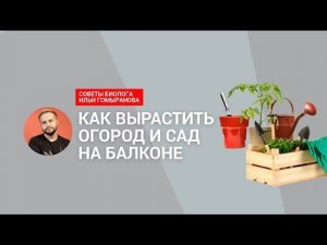 Как вырастить сад и огород на балаконе