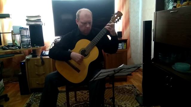 "Ностальгическая поэма". Концерт Дмитрия Теслова (гитара)