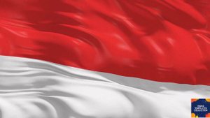 Flag of Indonesia | Indonesia Flag | Flags of countries in 4K | Olympics Tokyo 2020 2021