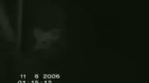 Шайтан в горах Чечни