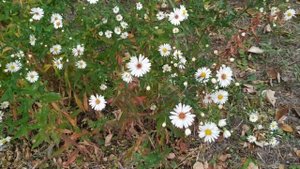 Какие глаза самые опасные ? Приметы про глаза. Народные приметы и поверья