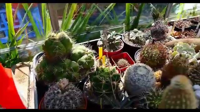 Manchester Branch video смотреть онлайн