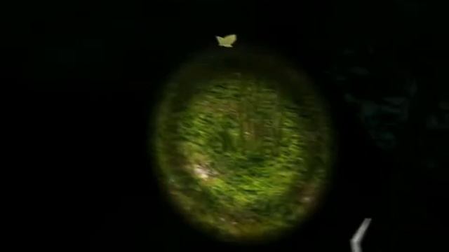 Survivers Viy [сказки на ночь 2] смотреть онлайн