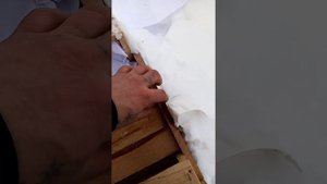 Как бесплатно достать дерево бук! в небольших количествах но реально!!!