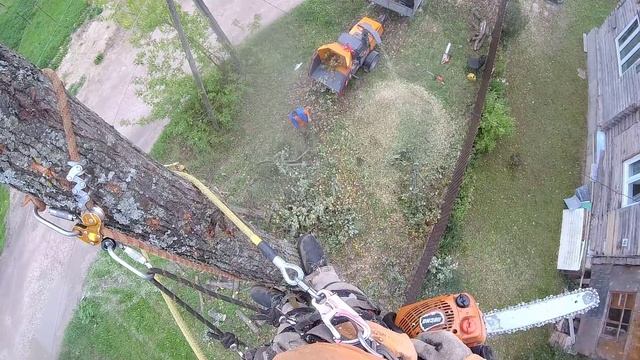 Вид с верху на дробление веток Дерево превратилось в кучку щепок