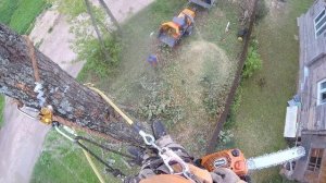 Вид с верху на дробление веток Дерево превратилось в кучку щепок