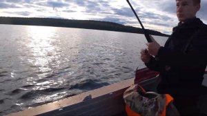 Тест приманок на судака - Карелия 2023