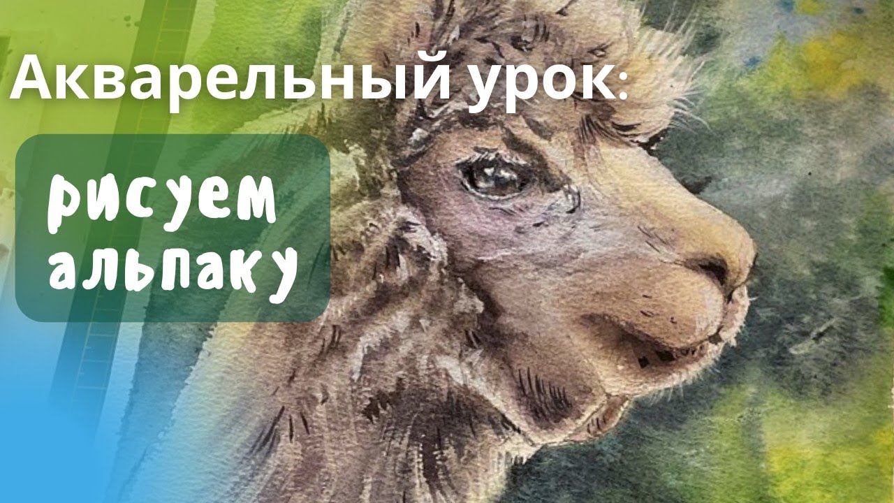 Рисуем альпаку акварелью. Подробный урок.