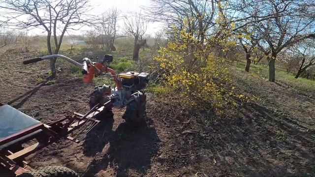 Зубовая конусная борона для прополки картофеля. Tooth cone harrow for weeding potatoes. смотреть онлайн