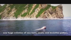 Komandorskiye ostrova (Командорские острова), Камчатский край