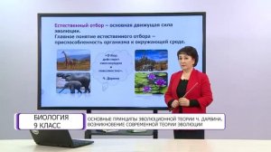 Биология. 9 класс. Основные принципы эволюционной теории Ч. Дарвина