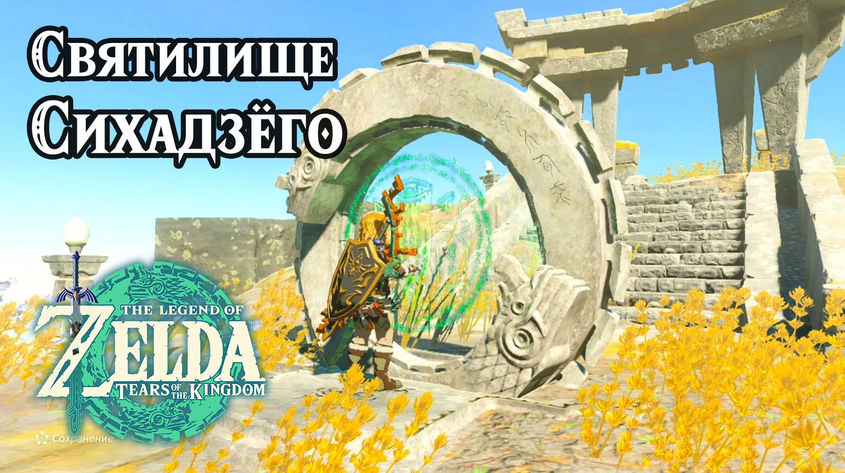 142 - Святилище Сихадзёго. The Legend of Zelda Tears of the Kingdom. Sihajog Shrine. Nintendo Switch