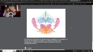 ПРОХОЖУ ТЕСТ РОРШАХА - ПСИХОЛОГИЧЕСКИЙ ТЕСТ