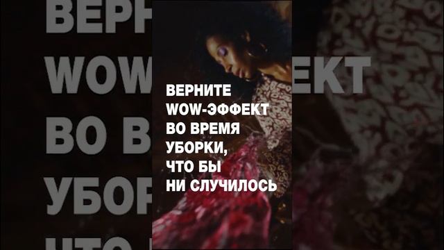 Мощные хозяйственные пылесосы WD без проблем справятся с сухой и влажной грязью.