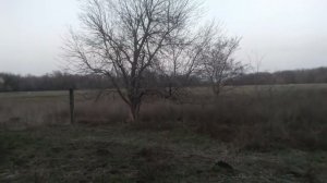 Опустевший посёлок Алексеевский, Калининский район.