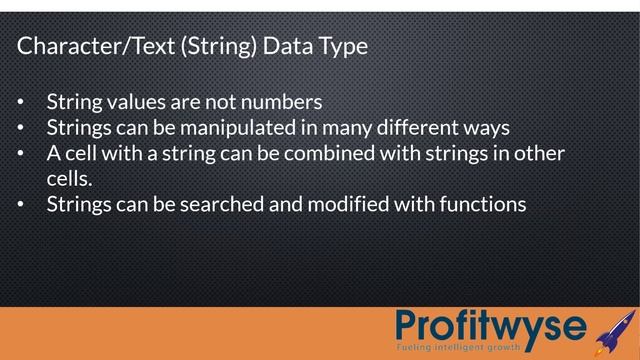 002 - Profitwyse Academy | Introduction to Excel Series | Excel Data Types