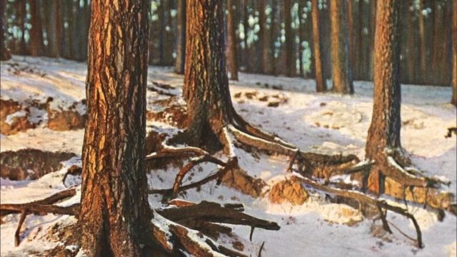 История фотографии. От фотокарточек до смартфонов смотреть онлайн