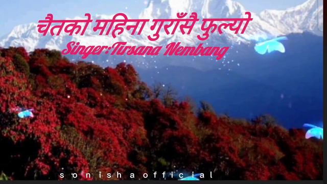 चैतको महिना गुराँसै फुल्यो ...... पुर्बेली लोक गित#rhododendron#mountains смотреть онлайн