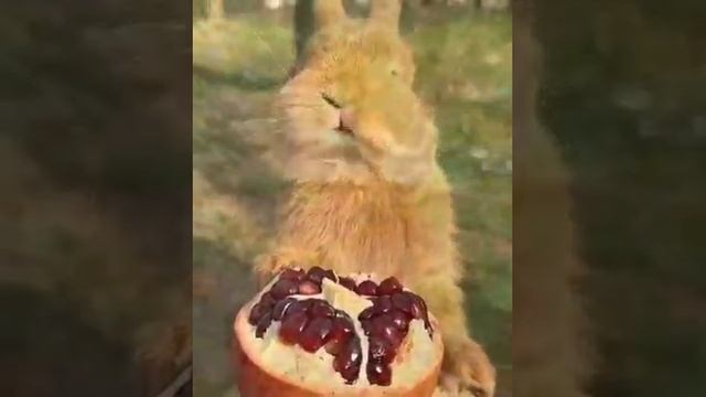 Здравствуйте. Успеха нам всем.