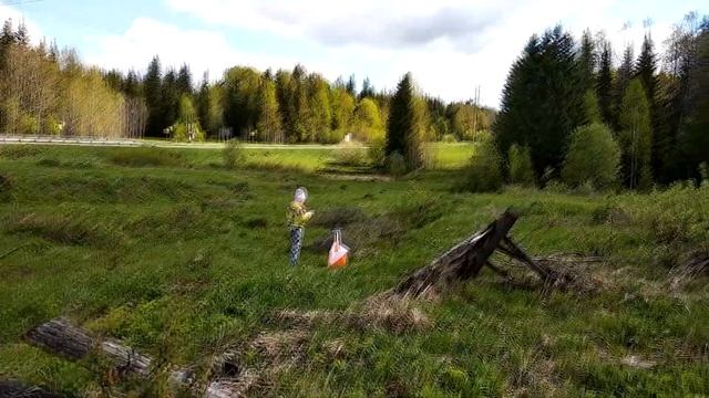 Катя, Лес, Ориентирование, каникулы в Горнозаводске смотреть онлайн