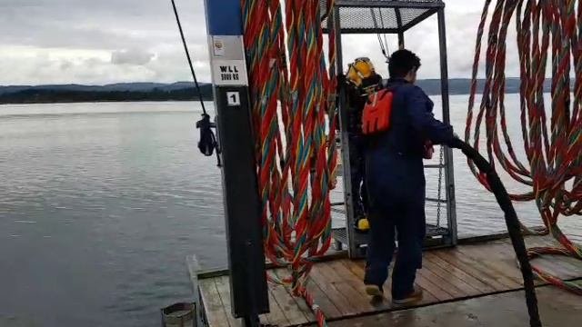 Professional Diving