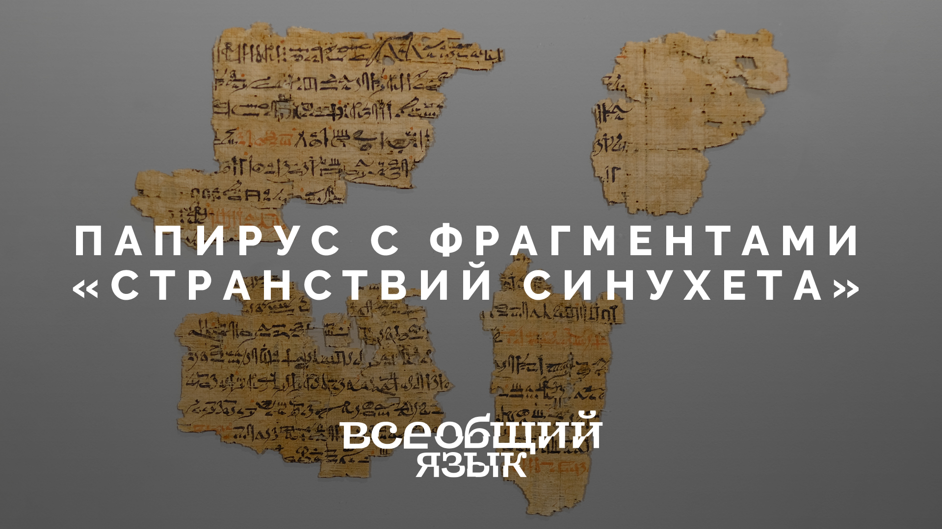 Папирус с фрагментами «Странствий Синухета» на выставке «Всеобщий язык»