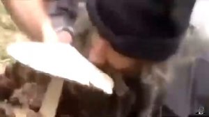 Это же мой гриб мем.