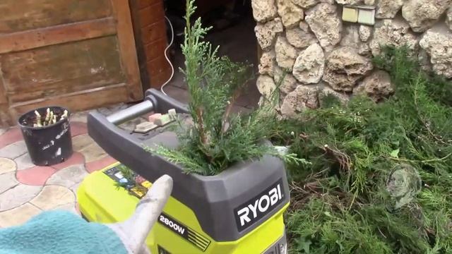 ХВОЙНЫЕ В АПРЕЛЕ ПРИДАЮ ФОРМУ МОЖЖЕВЕЛЬНИКУ! смотреть онлайн