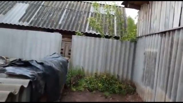 РАБОТА В ТЕПЛИЦЕ