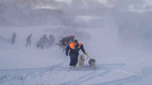 На Камчатке под лавиной погибли 2 туриста. 19.03.2024