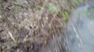 Дамба. Постройка дамбы. Как построить дамбу. Как выглядит дамба.